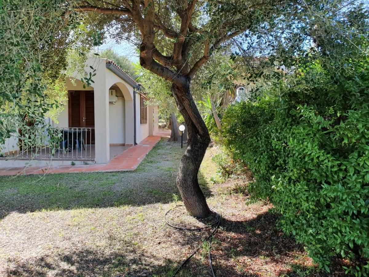 La Casa Di Spinosella Διαμέρισμα Valledoria  Εξωτερικό φωτογραφία