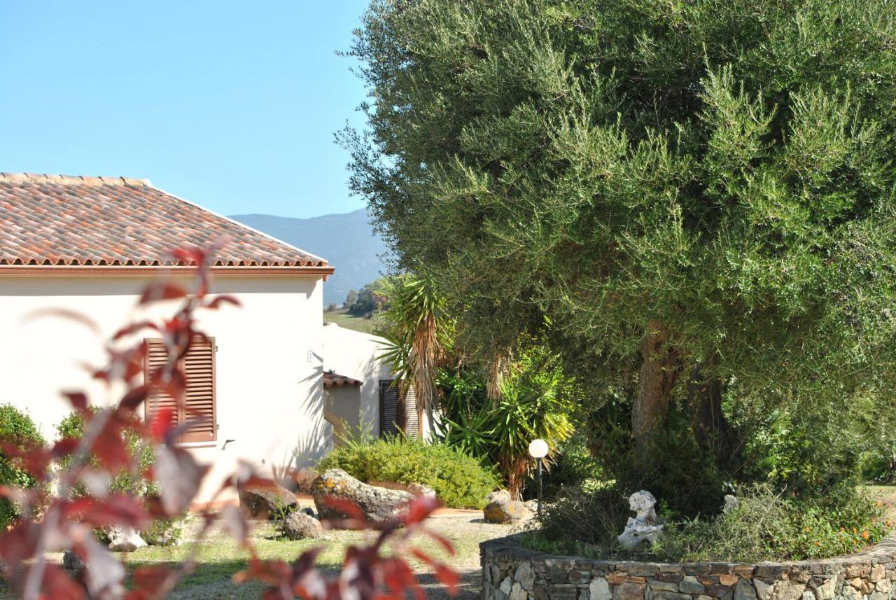 La Casa Di Spinosella Διαμέρισμα Valledoria  Εξωτερικό φωτογραφία