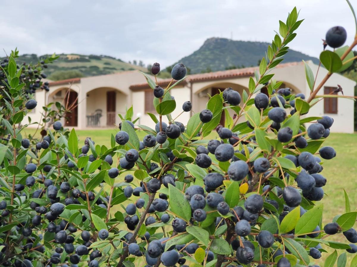 La Casa Di Spinosella Διαμέρισμα Valledoria  Εξωτερικό φωτογραφία