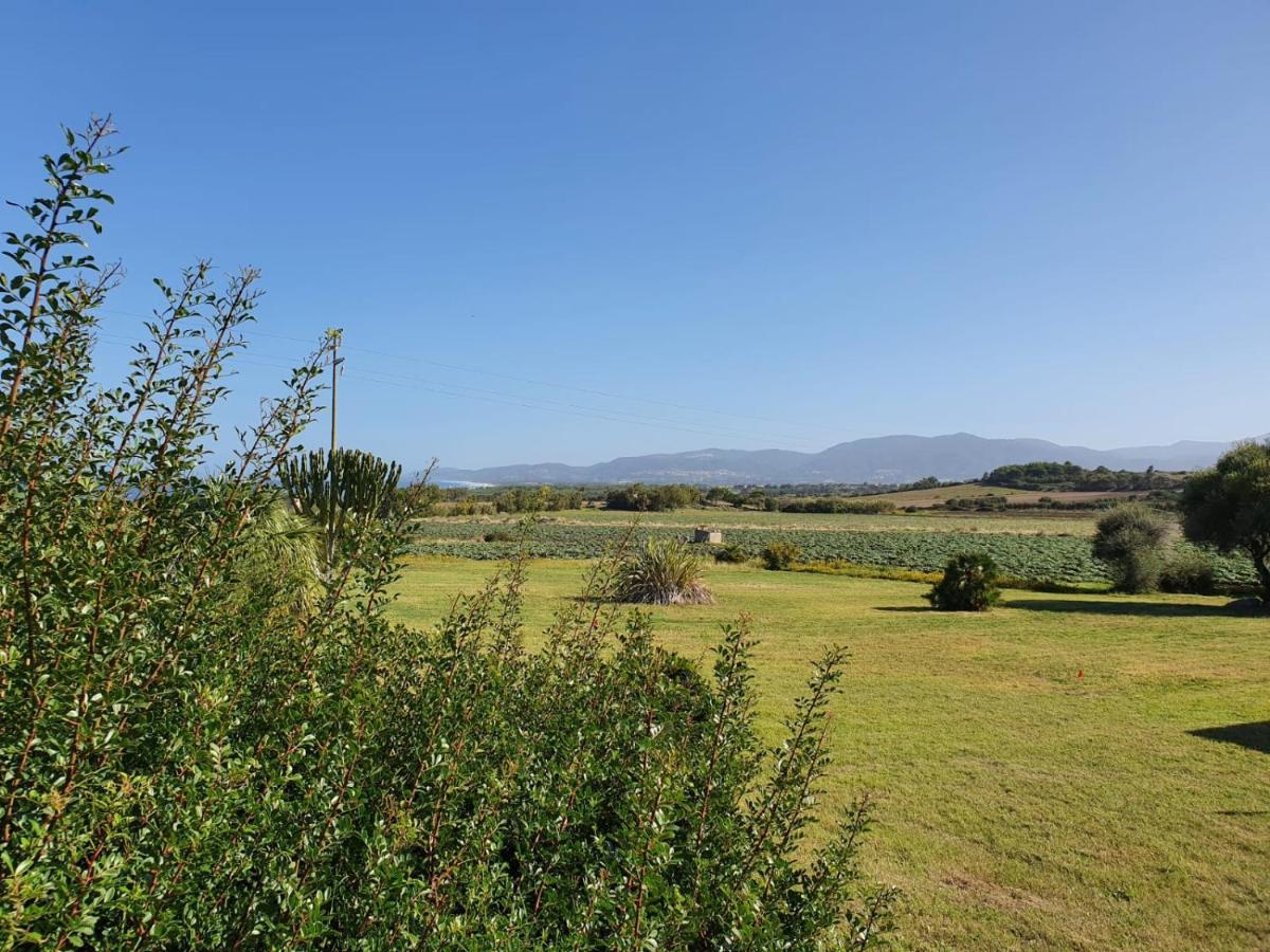 La Casa Di Spinosella Διαμέρισμα Valledoria  Εξωτερικό φωτογραφία