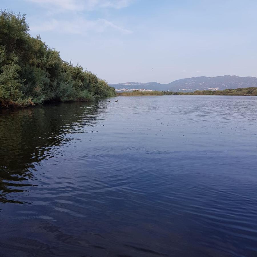 La Casa Di Spinosella Διαμέρισμα Valledoria  Εξωτερικό φωτογραφία